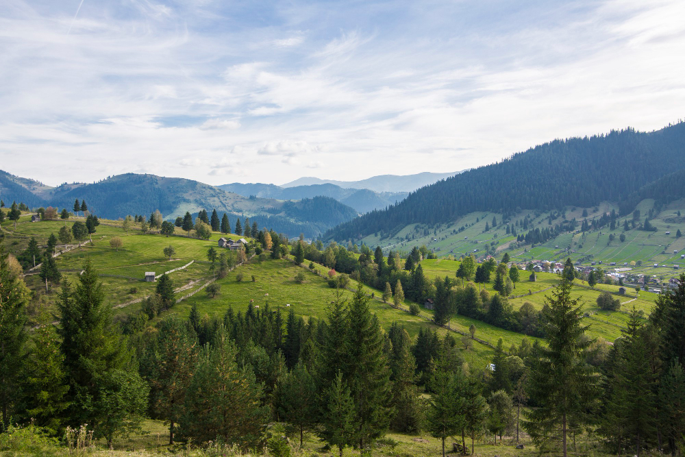 church-from-sucevita-monastery-bucovina-romania