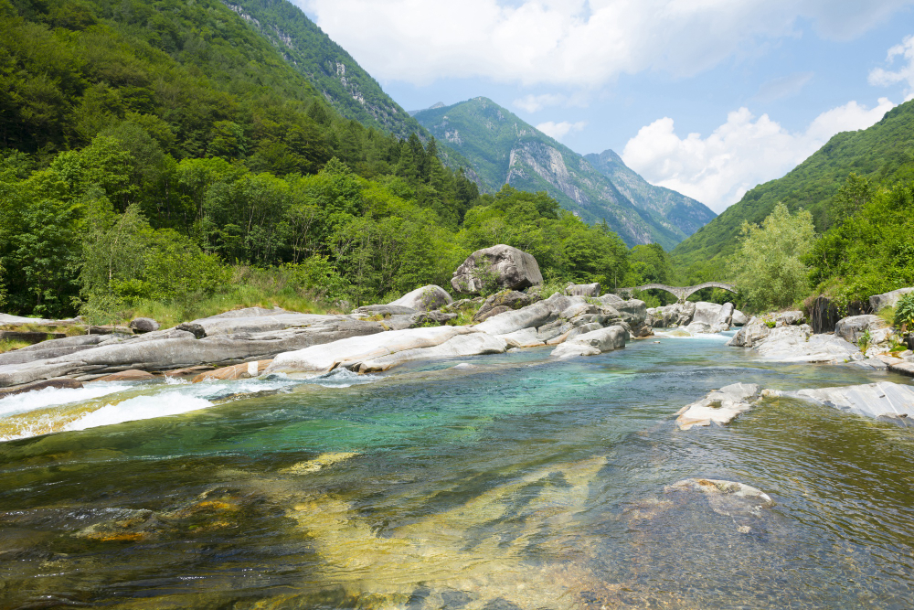 wide-angle-view-river-flowing-through-mountains-covered-trees