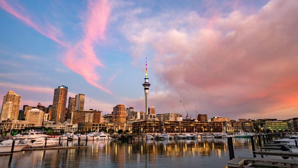 new-zealand-university