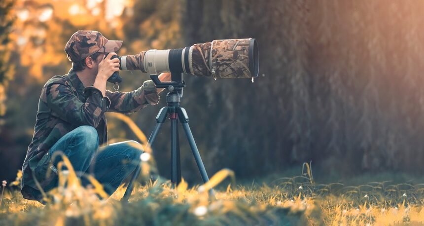 Traveling for Wildlife Photography: Capturing Animals in their Natural Habitat